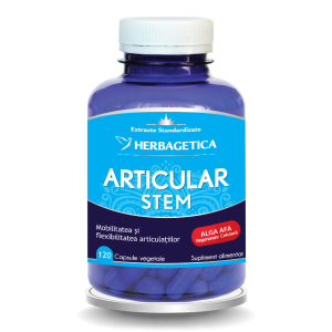 Articular Stem