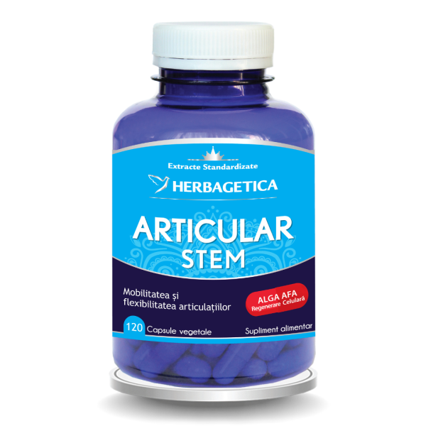 Articular Stem