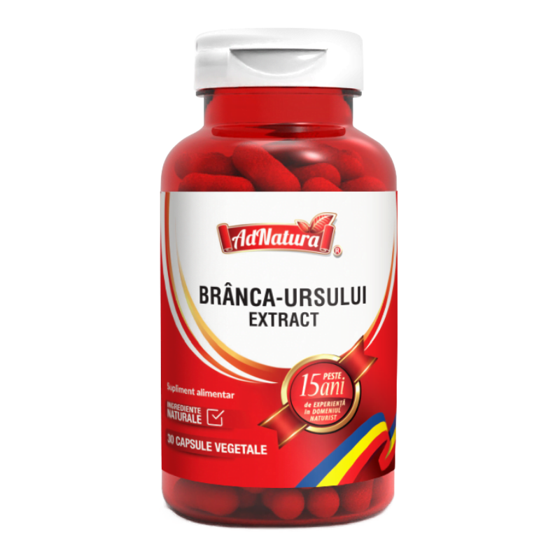 Branca Ursului extract