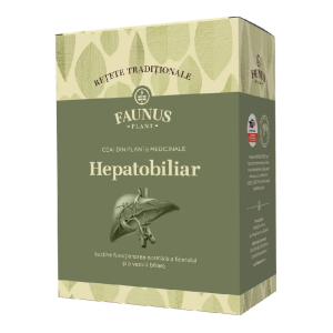 Ceai Retete Traditionale Hepatobiliar