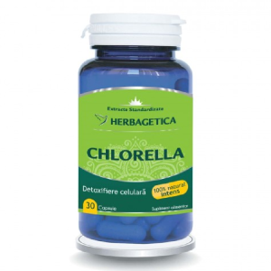 Chlorella