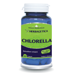 Chlorella