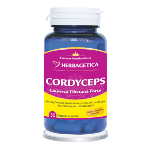 Cordyceps 10/30/1
