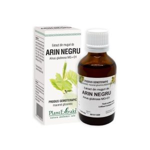 Extract din muguri de Arin Negru
