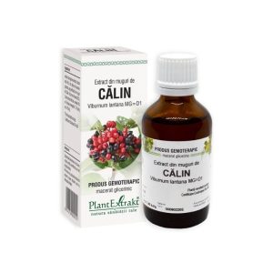 Extract din muguri de Calin