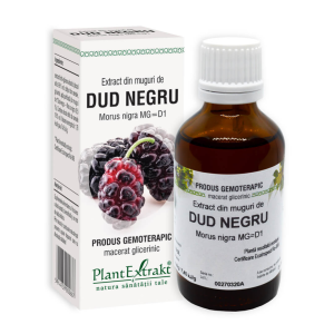 Extract din muguri de Dud Negru
