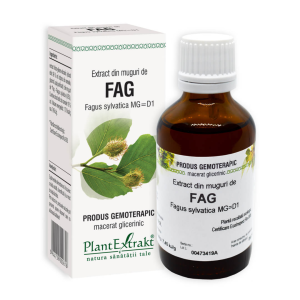 Extract din muguri de Fag