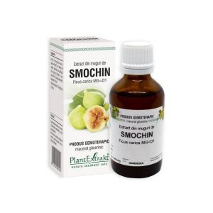 Extract din muguri de Smochin