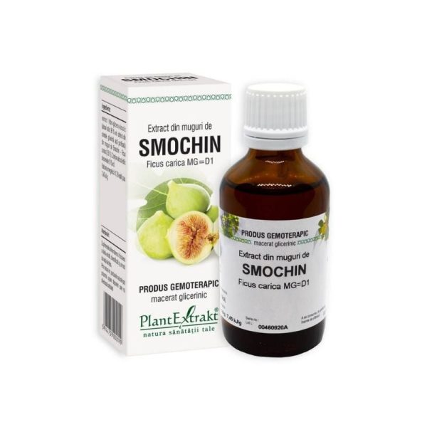Extract din muguri de Smochin