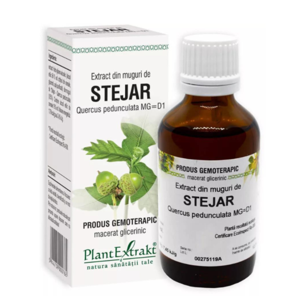 Extract din muguri de Stejar