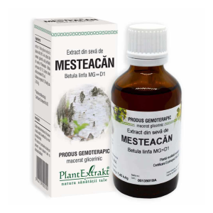 Extract din seva de Mesteacan