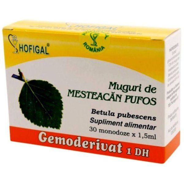 Gemoderivat muguri mesteacan pufos