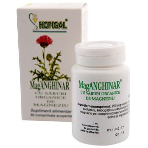 HOFIGAL Mag-anghinar