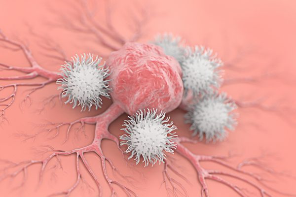 Celulele „Natural Killer” Îmbunătățite Ar Putea Conduce la Imunoterapie pentru Cancer Gata de Utilizare