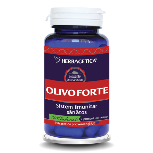 Olivo Forte