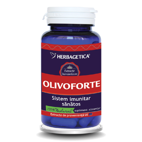 Olivo Forte