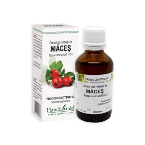 Plant Extrakt Mladite de maces