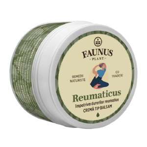 Unguent Reumaticus
