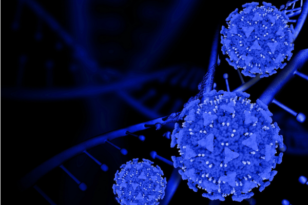 Biomarkerii de Îmbătrânire Derivați din Datele Metabolomice ale Proiectului de Îmbătrânire a Câinilor
