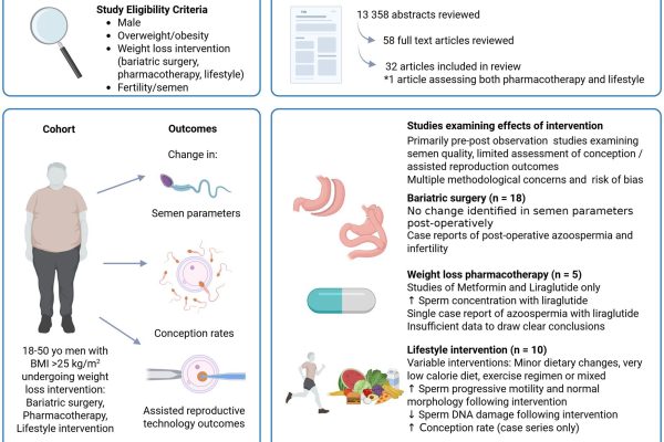 Menținerea unei greutăți sănătoase, mai importantă decât pierderea în greutate pentru fertilitatea bărbaților