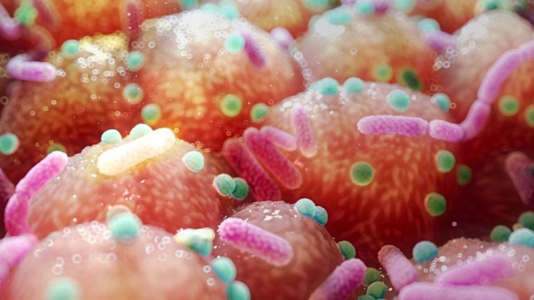 Cum Legătura dintre Bacteriile Intestinale și Parkinson Sugerează un Tratament Neașteptat de Simplu