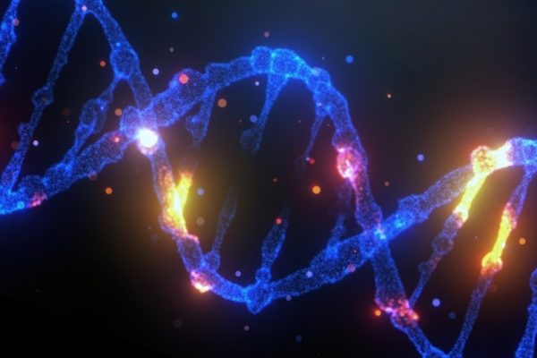 ADN-ul ”inutil” ar putea fi recrutat pentru a distruge celulele canceroase din interior