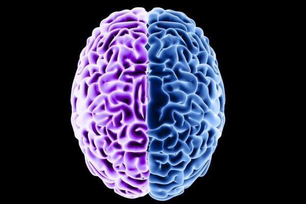 Cum Îmbătrânirea Afectează Proteinele Cerebrale – și Cum Dieta Ar Putea Inversa Parțial Procesul