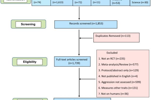 Suplimentul Alimentar care a Redus Agresivitatea cu Până la 28%