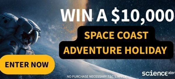 Fructul din Medicina Tradițională Chineză Restabilește Metabolismul Grăsimilor Sănătoase la Șoarecii Diabetici