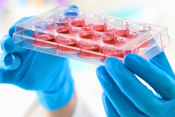 Cercetătorii Restaurează Celulele Stem Sanguine Îmbătrânite la un Stadiu Mai Tânăr la Șoareci