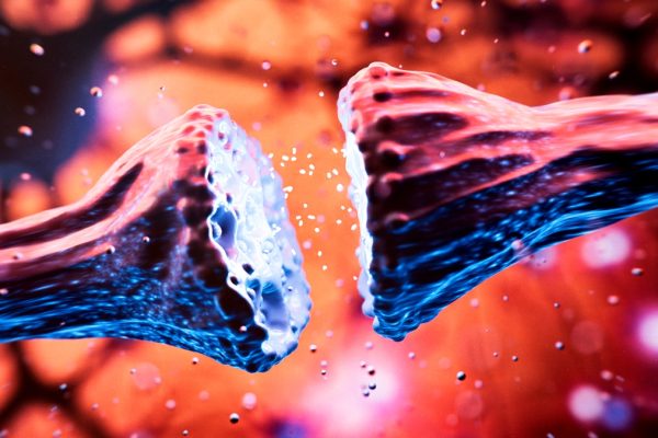 Cum Idealele de Frumusețe Îți Rescriu Creierul, dezvăluie un Neuroștiințific