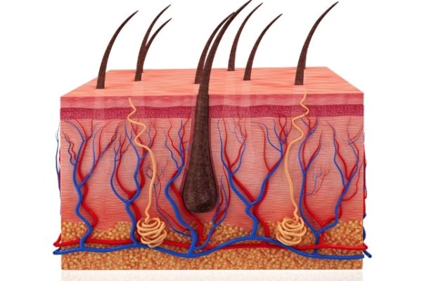 Tratamentul eficient pentru căderea părului la bărbați, dar cu efecte secundare serioase