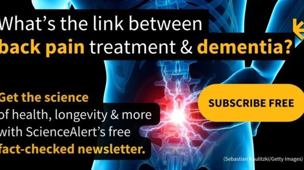 De ce Riscul de Accident Vascular Cerebral este Mult Mai Mare la Femei, Conform Experților