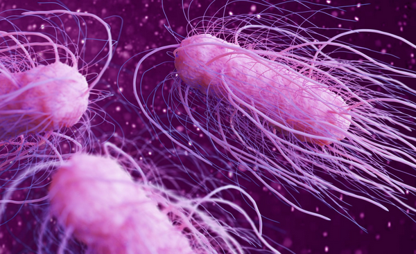 Pericolul evoluției rapidă a rezistenței la antibiotice a unui ucigaș antic, avertizează oamenii de știință