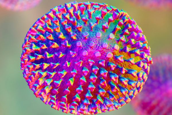 Alertă: Riscul subestimat al gripei aviare, avertizează un expert