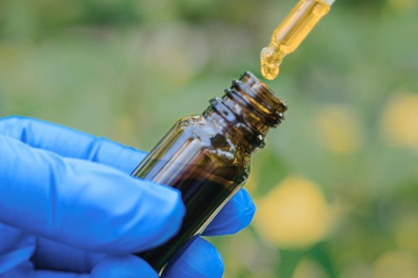 Studiu: Microdozarea cu Cannabis Suspendă Declinul Alzheimer într-un Test Fără Precedent