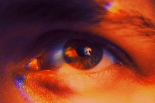 Este Cromozomul Y pe Cale de Dispariție? Un Nou Gen Sexual Ar Putea Fi Viitorul Bărbaților