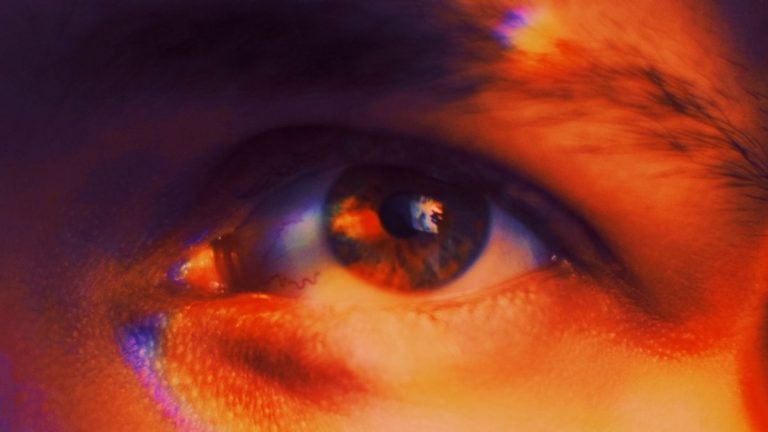 Este Cromozomul Y pe Cale de Dispariție? Un Nou Gen Sexual Ar Putea Fi Viitorul Bărbaților