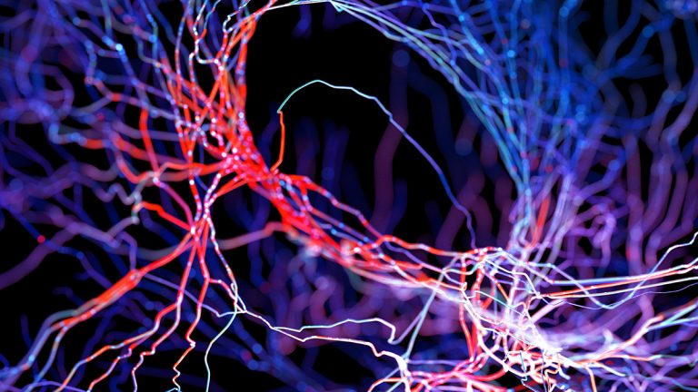O moleculă naturală ar putea ajuta la eliminarea acumulării de proteine asociate cu Alzheimer, arată un studiu