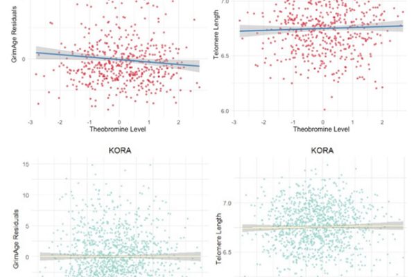 Ciocolata neagră ar putea încetini îmbătrânirea la nivel genetic