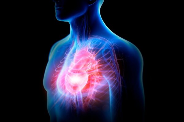 Inima Umană Poate Regenera de Fapt Țesut După un Infarct, Arată un Nou Studiu