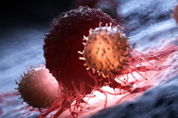 Descoperirea Cercetătorilor: Blocarea unei Proteine Încetinește Creșterea Cancerului la Șoareci