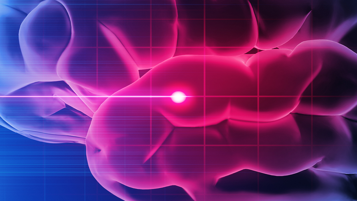 Terapia cu Peptide Protejează Creierul după un Accident Vascular Cerebral, arată un Studiu pe Șoareci