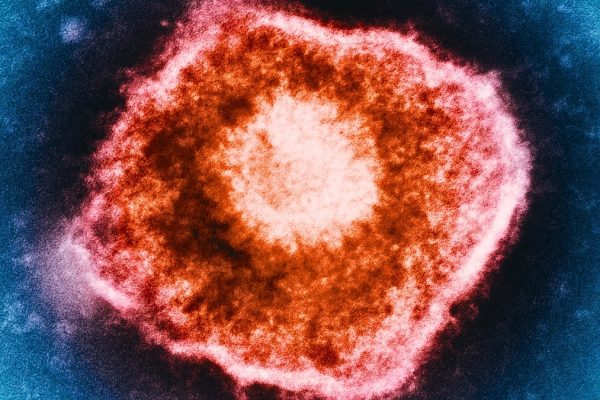 Vaccinul împotriva herpesului zoster asociat cu încetinirea procesului de îmbătrânire biologică, arată un studiu