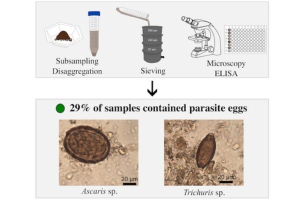 Studiu revoltător dezvăluie grozăvia vieții pe frontiera romană