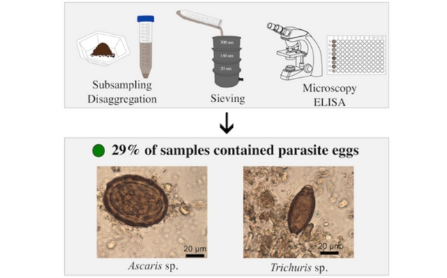 Studiu revoltător dezvăluie grozăvia vieții pe frontiera romană