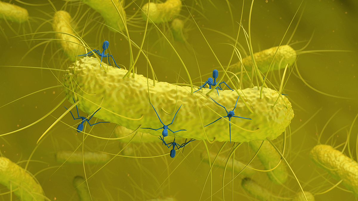 Virus ascuns descoperit în bacteriile intestinale este legat de cancerul colorectal