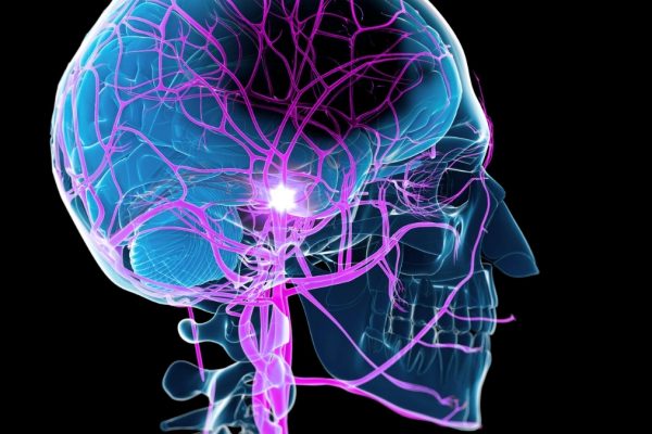 Descoperire Științifică: Metoda Neașteptată de Stimulare a Recuperării După un Accident Vascular Cerebral