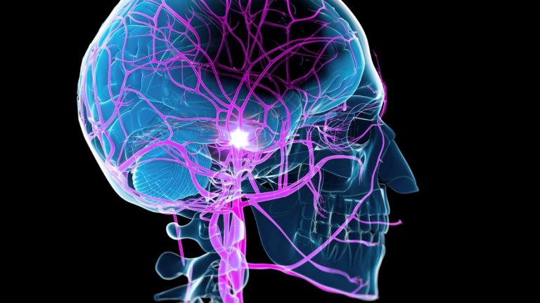 Descoperire Științifică: Metoda Neașteptată de Stimulare a Recuperării După un Accident Vascular Cerebral