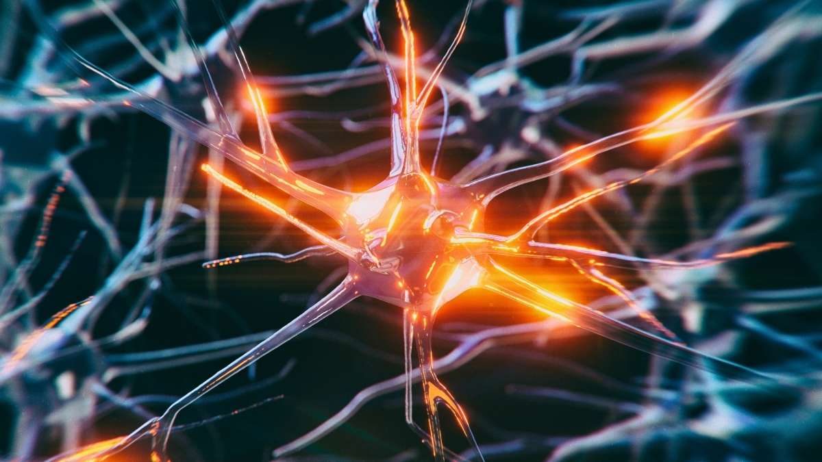 Mecanismul prin care Anumite Celule Cerebrale Rezistă Demenței a fost Descoperit de Cercetători